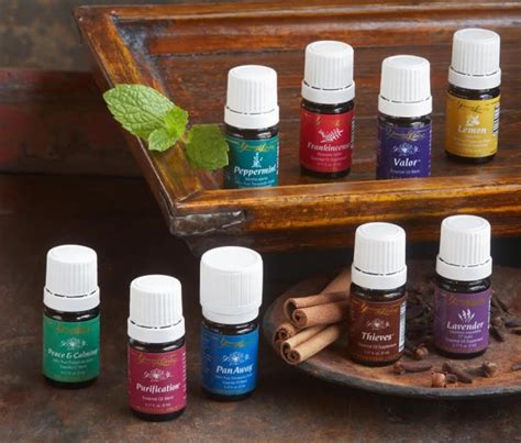 young essential oils|living young essential oils website.